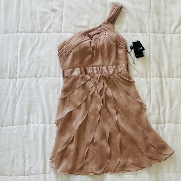 Dress | size 6 | Adrianna Pappel | Cocktail  | Champagne, blush, nude - Picture 14 of 14